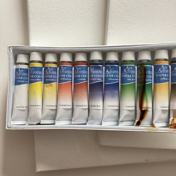 12 Art Advantage Watercolor Paints + Stapled Traditional White Blank Canvas - Picture 5 of 7